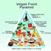 http://healthy-lifestyle20.blogspot.com/2016/01/how-can-vegetarians-eat-balanced-diet.html