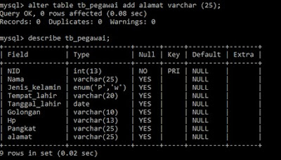 Menambah kolom Baru pada Tabel MySQL