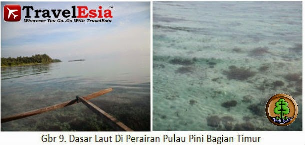 Pulau Pini