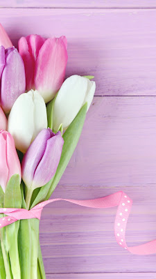 Gambar bunga tulip asli, cantik dan indah