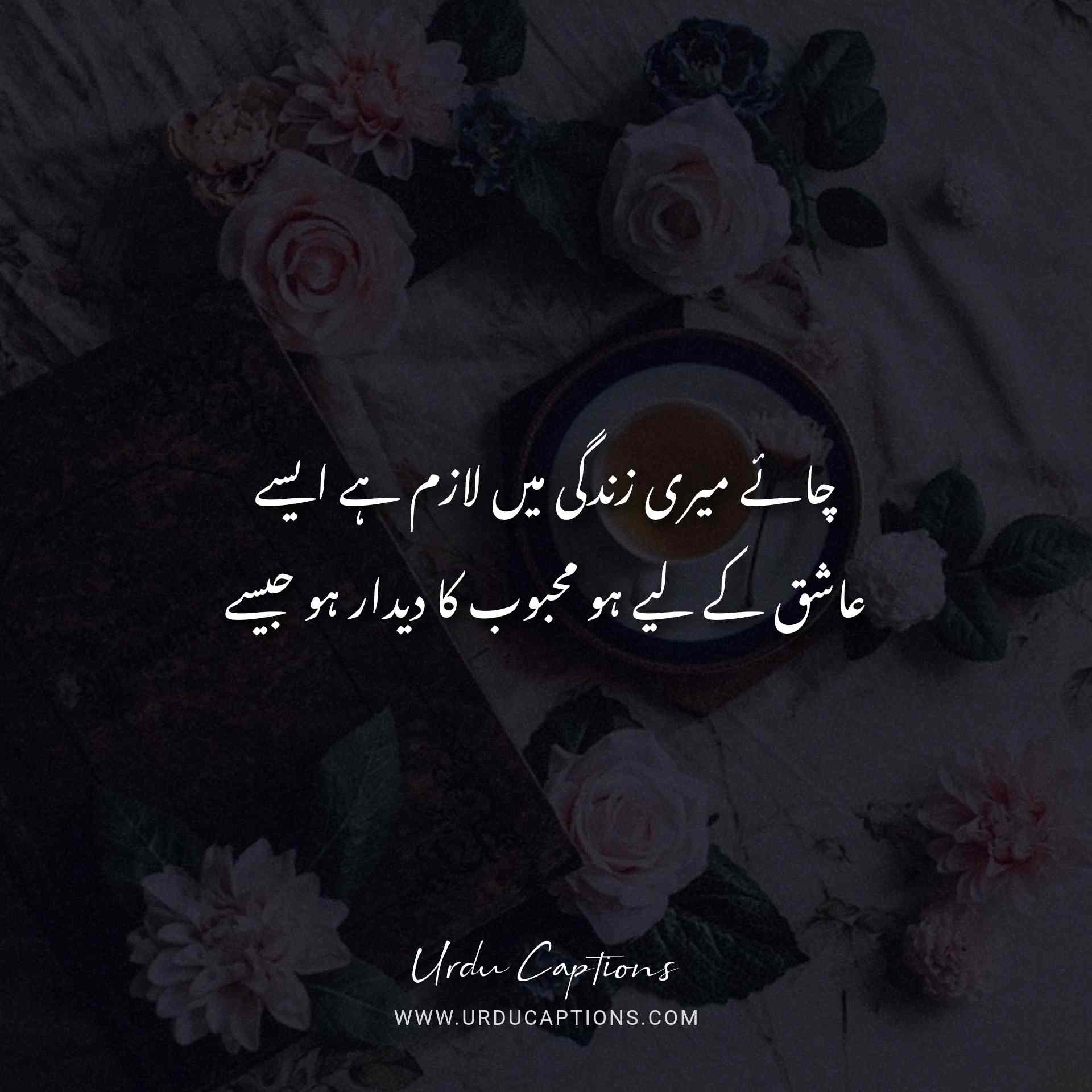 20 Best Collection Of Urdu Shayari (Poetry) About Life 🔥😍