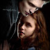 Twilight  - Kristen Stewart, Robert Pattinson