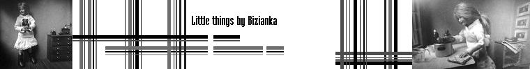 Biz