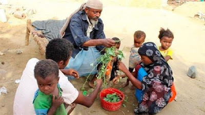 সৌদি আগ্রাসন: গাছের পাতা খাচ্ছে ইয়েমেনিরা