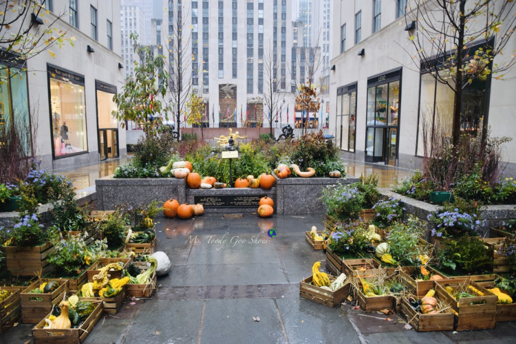 The Channel Gardens at Rockefeller Center in NYC, are beautiful no matter the season. | Ms. Toody Goo Shoes
