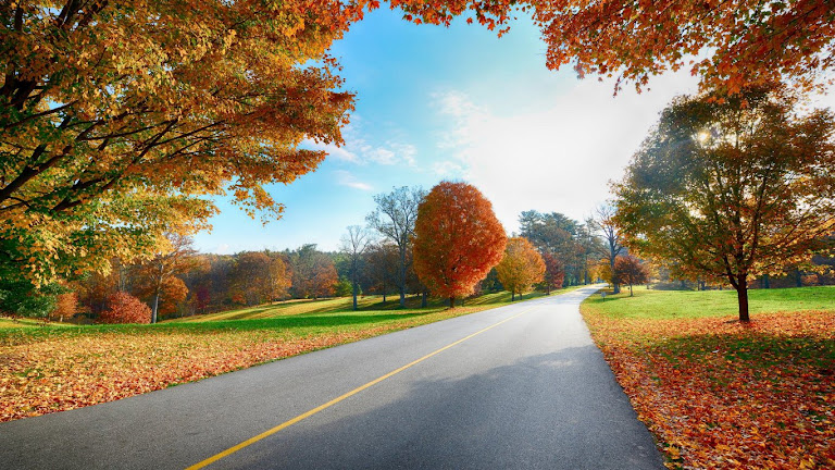 Road HD Wallpaper 5