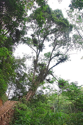photo_052