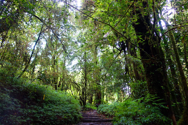 Doi Inthanon National Park