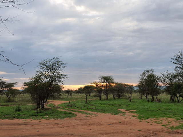 Serengeti National Park