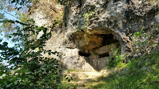 cosa vedere sul montello