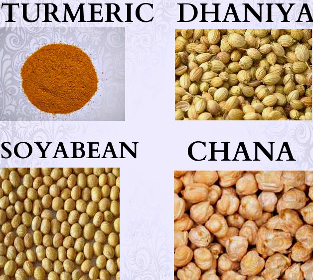 Agri Commodity Tips, Commodity free tips, Commodity intraday tips, MCX Tips Services, Chana Tips, Dhaniya Tips, SoyaBean  Tips, Turmeric Tips, MCX Tips Services