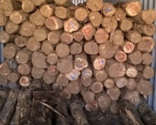 Types of Teak Wood,Teak Wood Types | Teak Wood Costs