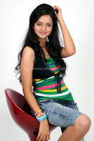 Shanvi, cute, and, spicy, photo, shoot, gallery