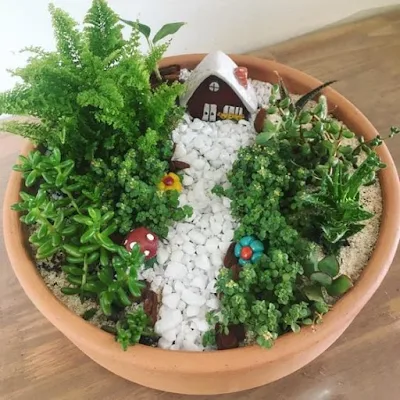 Esses jardinzinhos são ideais para quem não tem muito espaço ou tempo para cultivar plantas pois cabe em qualquer cantinho e demanda poucos cuidados