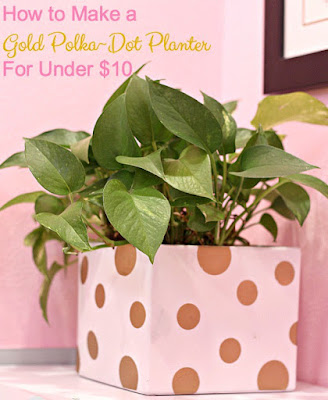 http://blueskykitchen.net/2017/01/10/how-to-make-a-gold-polka-dot-planter-for-under-10/