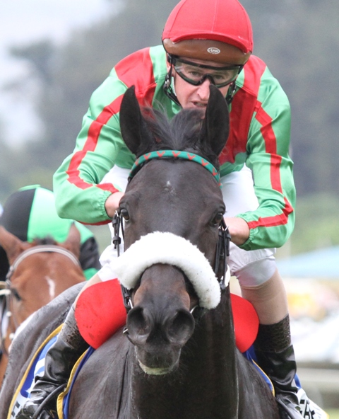 Anche il Sudafrica. Ebony Flyer si dimostra campionessa sui 1200. Report da Scottsville