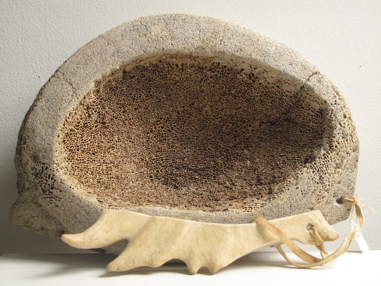 Bone Bowl