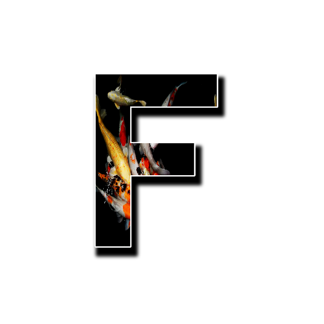 CAPITAL LETTER F, F with image