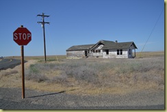 Derilict House
