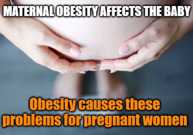 Does maternal obesity affect the health of the fetus? / Macrosomia / Fetal growth restriction / Does Maternal obesity pose a risk to the mother or child?