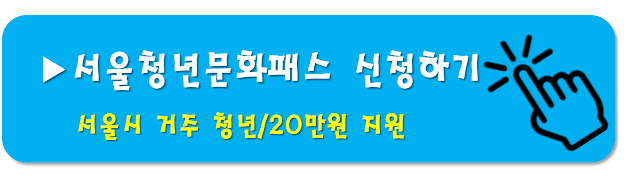 서울시-청년문화패스