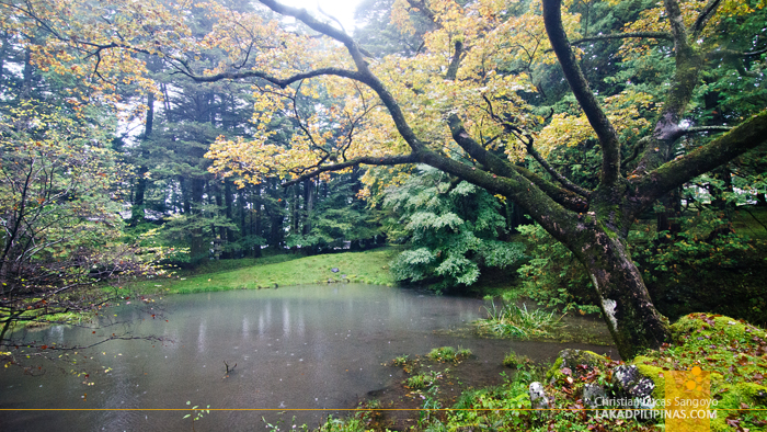 Nikko Autumn Rain