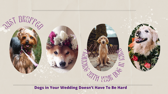 Dogs-weddings-ideas-Weddings-Events by KMich-Philadelphia