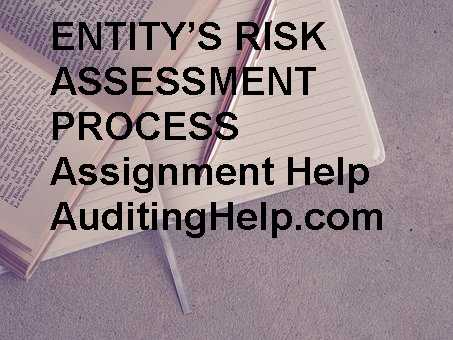 Objective Of An Audit Assignment Help