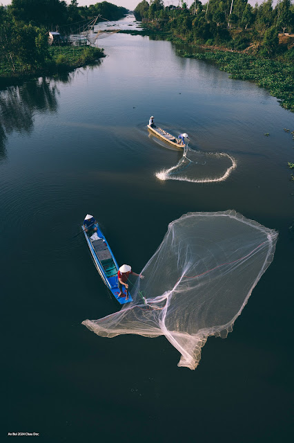 Fishermen threw the fishing net in Mekong delta 2024
