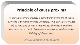 Principle of causa proxima