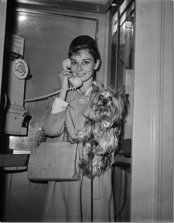 audrey-hepburn-pictures-19