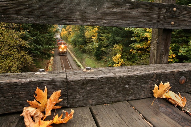 Westbound BNSF mixed freight train framed by the wooden overpass at Home Valley, Washington, USA Westbound BNSF mixed freight train framed by the wooden overpass at Home Valley, Washington, USA
