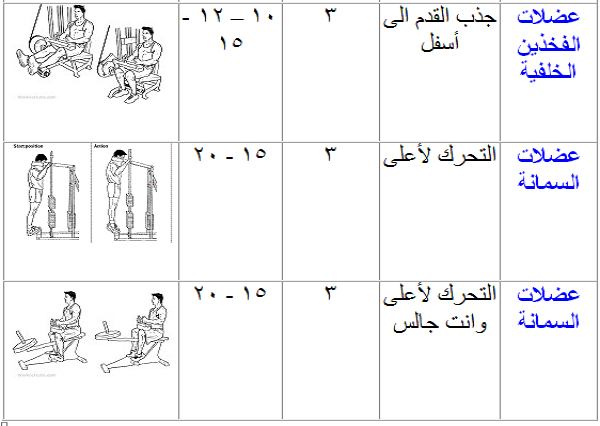 برنامج تدريب جيم للمبتدئين