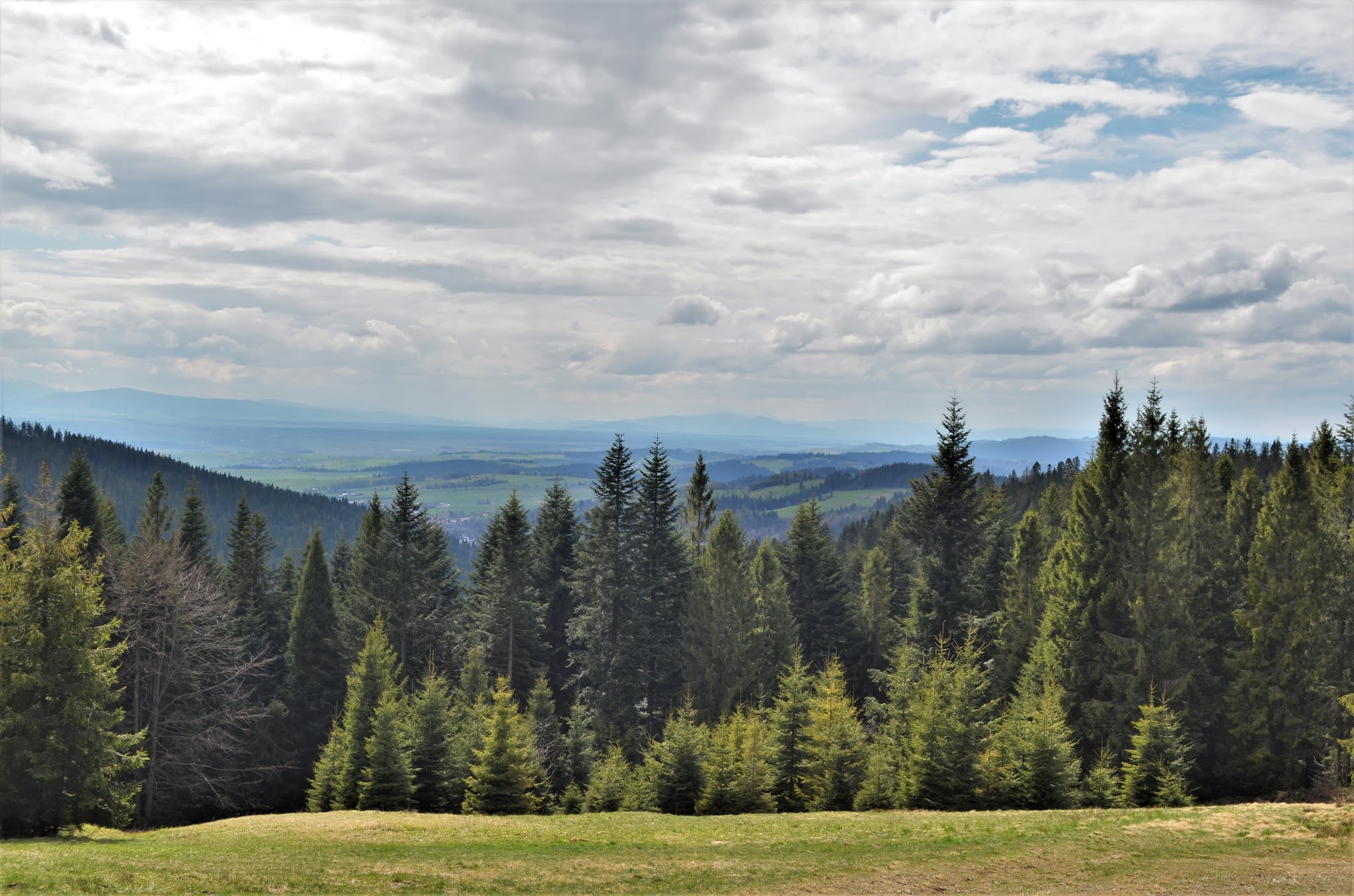 Stare Wierchy z Polany Tobołów- Gorce z dzieckiem