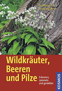 Wildkräuter, Beeren und Pilze: Erkennen, sammeln und genießen