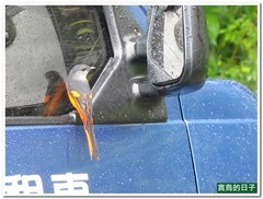 20130519_105148_0121