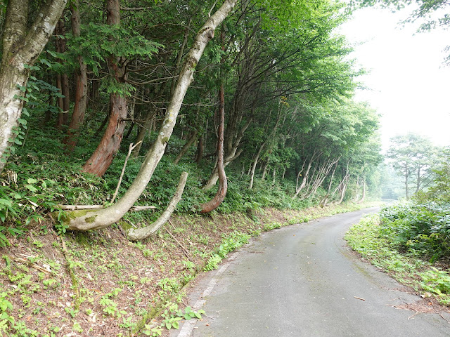 香取の大休峠に向かう山道を降ります