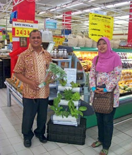 pemasaran sayuran hidroponik ke pasar swalayan