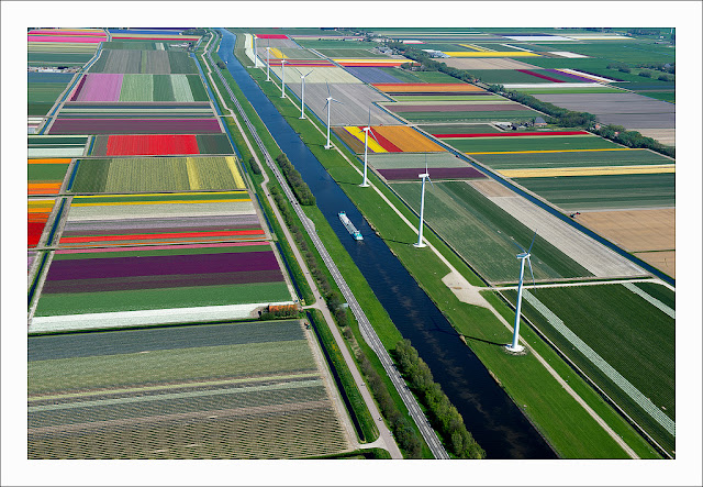 An Aerial Tour of Tulip Fields in the Netherlands