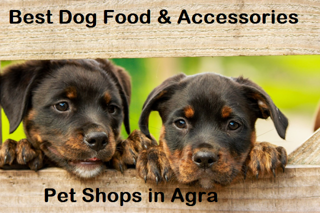 pet shop agra, agra pet shop, dog shop agra, pet shop in agra, dog shop near me agra, pet shops agra,dog sale and purchase agra