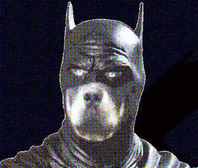 The Dog Knight copyright 2008 Cosanostradamus blog me no blogs