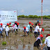 CSR AHM Tanam 1000 Pohon Mangrove