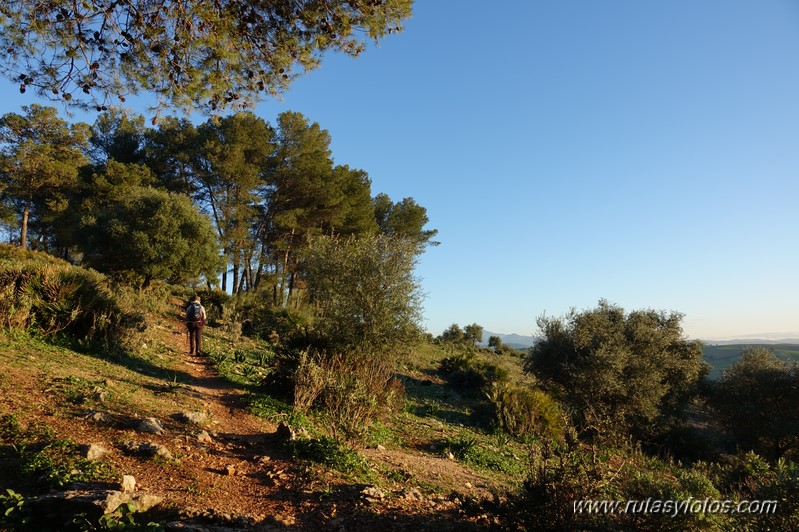 Castillo de Cote - Sierra de Montellano