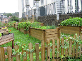 De samentuin van Spa, potager de Spa, moestuin, stadsmoestuin, buurtmoestuin, VELT