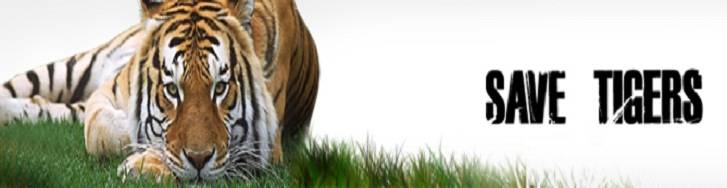 Save Our Tigers