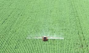 Sem aviso prévio, governo corta seguro rural e tensiona relação com o agro