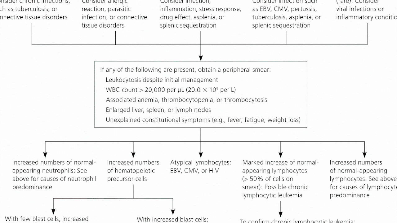 High White Blood Cell Count And Leukemia
