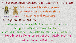 X-rays can cause induced mutation