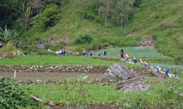 HIKING LAWU 2011