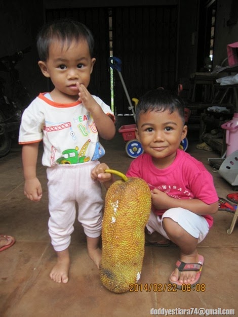 dai dan ilyas dan cempedak